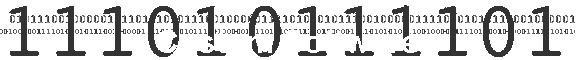 Custom Software