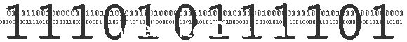 Website Design